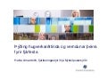 Hugverkarettindi Nýsköpunarsjóður