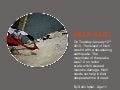 Help Haiti  Power Show