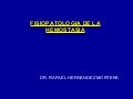 Hemostasia