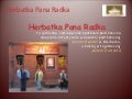 Herbatka pana Radka