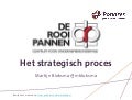 Het strategisch proces   de rooi pannen