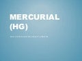 Mercurial: Beginners (v1)