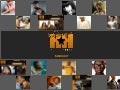 HipHollywood Media Kit