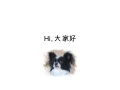 Hi,大家好