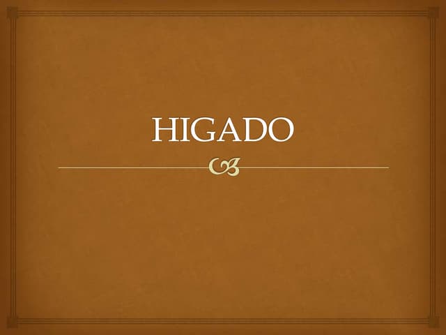 ANATOMIA HUMANA DEL HIGADO