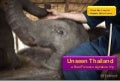 Excursie "Unseen Thailand" iunie 2012 - highlights