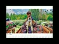 Himalaya Calender 2012