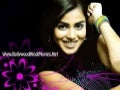 Hindi Movie Songs Www.Bollywood Hindi Movies.Net