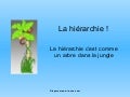HiéRachie
