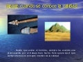 Historia De La Calidad