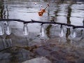 Wildlife and Outdoors Slideshow