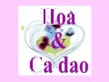 Hoa ca dao