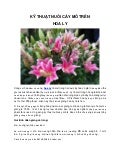 Hoa ly p2