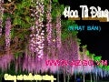 Hoa Tu Dang