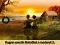 Hogyan szerzik élelmüket a madarak 2.