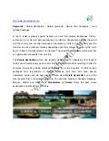 Holiday in india pdf
