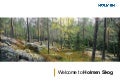 Bioenergy Activities at Holmen Skog