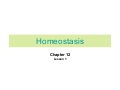 Chapter 12 Homeostasis Lesson 1 - The Need for Homeostasis