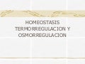 Homeostasis Termoregulacion