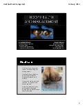 Hoof Health