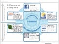 F-Commerce Ecosphere Visual
