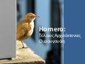 Bird constructor