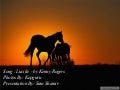 Horses Lucille
