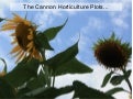 Spring 2013 Horticulture Slideshow
