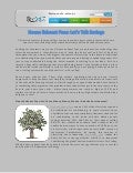 House Exhaust Fans: Let’s Talk Savings