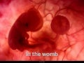 How A Baby Grows In The Mothers Womb