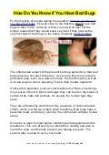 How do-you-know-if-you-have-bed-bugs