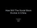 How The Social Brain Evolves In China
