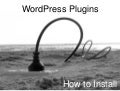 How to install a Word Press plugins