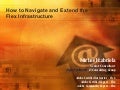 How To Navigate And Extend The Flex Infrastructure
