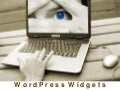 How to USe Wordpress Widgets