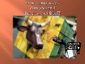 How many ways can you tell the story of beef by Caitlin Vella