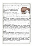 How The Kiwi Pdf