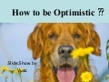 How To Be Optimistic