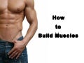 How to Build Muscle