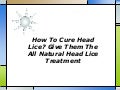 How to cure head lice give them the all natural head lice treatment