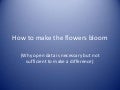 How to make the flowers bloom
