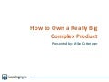 How to own a really big complex product v3