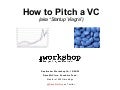 How to Pitch a VC, aka Startup Viagra (Oct 2009)