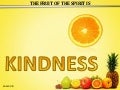 Hs 06 Kindness