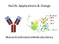 Hu cal ab & design