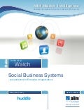 Social business systems - success factors for Enterprise 2.0 applications