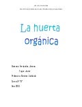 Informe de Huerta