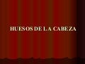 Huesos de la cabeza