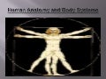 Human Anatomy And Body Systems by Sandra Landinguin