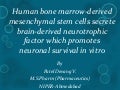 Stem cells in CNS disorders